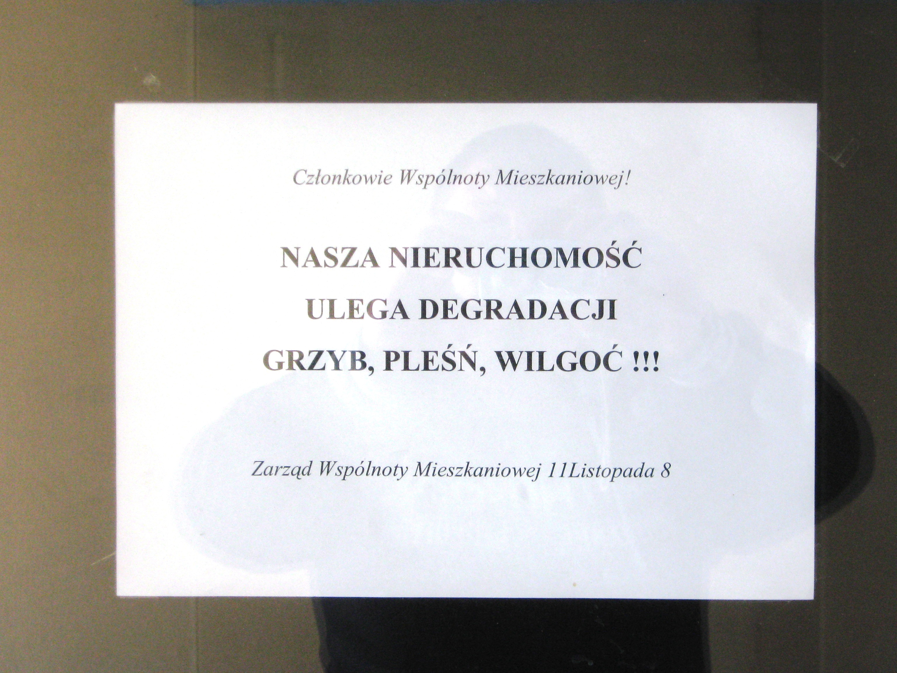 Reklama Zambetu