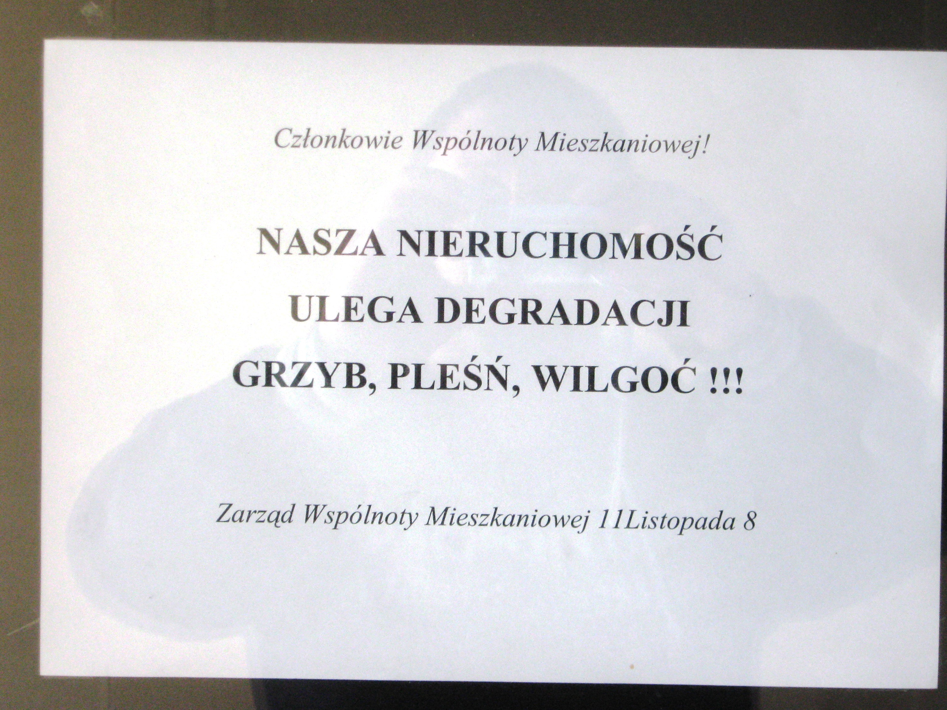 tu lepiej widać
